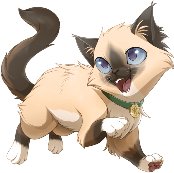 Pointed Ragdoll Example