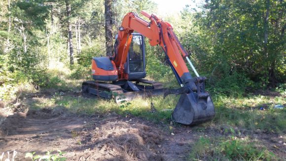 Construction Begins On Cat Playground