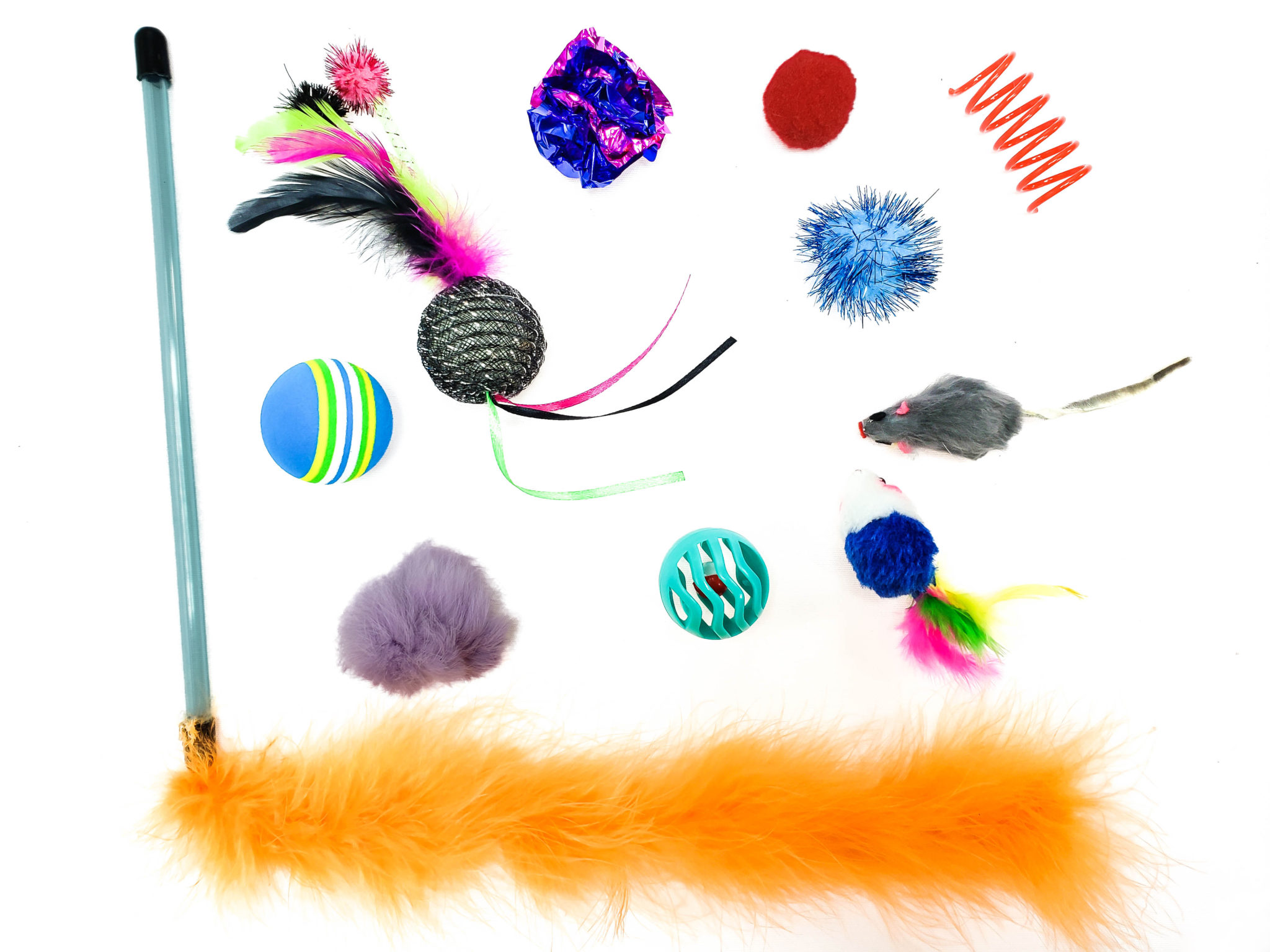 Assorted Cat Toys 11 Piece Kitten Starter Pack Oregon Ragdolls