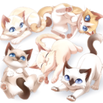 Dizzy's first litter