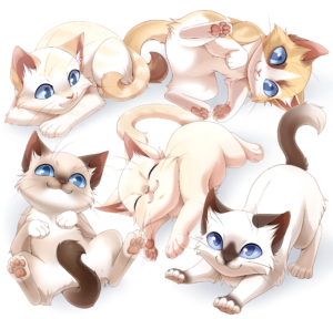 Dizzy's first litter